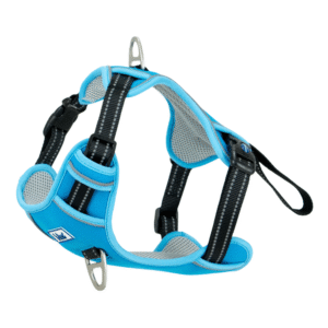 Ancol Viva Exercise & Travel Dog Harness - Blue (Large, 60-85cm)