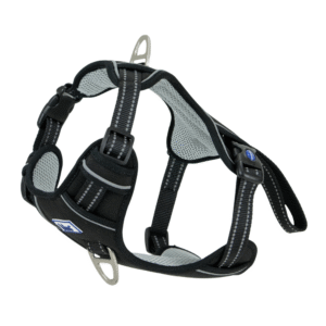 Ancol Viva Exercise & Travel Dog Harness - Black (Small, 35-45cm)