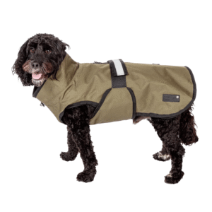 3-in-1 All-Weather Dog Coat - Olive (41cm / 16in)