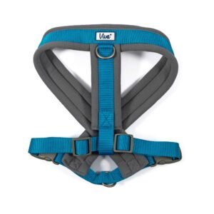 Ancol Viva Padded Harness Blue S 36-42cm